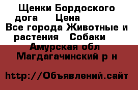 Щенки Бордоского дога.  › Цена ­ 30 000 - Все города Животные и растения » Собаки   . Амурская обл.,Магдагачинский р-н